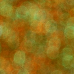 Bokeh-490